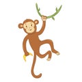 Cute monkey isolated on a white background. Vector graphics