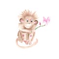 Cute monkey with magnolia flower isolated on white background. Watercolor hand drawn illustration. Perfect for kid cards Royalty Free Stock Photo