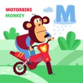 Cute monkey on motorbike. Transport and animals. Letter M. Alphabet, card with cartoon style characters. ABC. Education Royalty Free Stock Photo