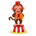 Cute monkey playing percussion hand cymbals