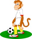 Cute monkey playing soccer ball