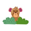 Cute monkey sitting in the grass cartoon isolated icon desig