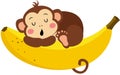Cute monkey sleeping on banana Royalty Free Stock Photo