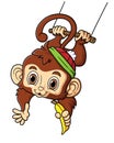 cute monkey swinging and holding banana