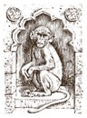 Cute monkey or vintage primate. Hand drawn, engraved wild animal. zoology african symbol. vector illustration. poster