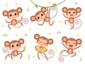 Cute monkeys. Jungle wild animals baby little monkeys playing vector characters in action poses