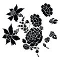 Cute monochrome graden flowers silhouette cartoon vector illustration motif set. Hand drawn black and white rose elements clipart Royalty Free Stock Photo