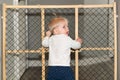 Cute Baby Standing Next to Safety Gate at Home