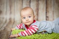 Cute 6 months baby boy in a monkey costume Royalty Free Stock Photo