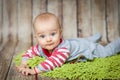 Cute 6 months baby boy in a monkey costume Royalty Free Stock Photo