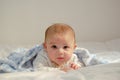 Cute 4 months old baby boy having tummy time on white quilt covered with blue blanket Royalty Free Stock Photo