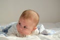 Cute 4 months old baby boy having tummy time on white quilt covered with blue blanket Royalty Free Stock Photo