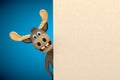 Cute moose cartoon animal zoo forest Royalty Free Stock Photo