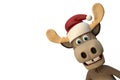 Cute moose with christmas hat cartoon animal zoo forest Royalty Free Stock Photo