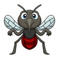 Cute mosquito cartoon on white background