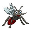 Cute mosquito cartoon on white background