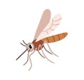 Cute mosquito. Funny gnat insect with wings and proboscis, trunk. Happy smiling sweet adorable flying character