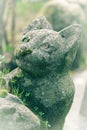 Cute mossy stone cat statue in the pet cemetery of Paris in AsniÃÂ¨res-sur-Seine, France.