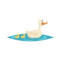 Cute mother duck swim with ducklings on little lake. Farm animals. Cartoon style vector illustration Royalty Free Stock Photo