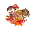 Cute mouse in autumn fall yellow leaves, mushrooms, forest berries, plants. Autumnal woodland design. Natural