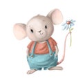 Cute mouse with flower, watercolor illustration, summer clipart with cartoon character Royalty Free Stock Photo