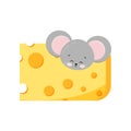 Cute mouse head looking out of hole in cheese Royalty Free Stock Photo