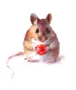 Cute Mouse Holding a Berry Watercolor Animal Illustration Hand Painted isolated on white background