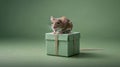A cute mouse perched on a small green gift box against a soft green background Royalty Free Stock Photo