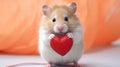 Cute mouse with red heart on white background. Love from hamster. Valentine Royalty Free Stock Photo