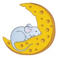 Cute mouse sleeping on half moon made of cheese.