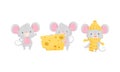 Cute Mouse Wearing Warm Hat and Eating Cheese Slab Vector Set