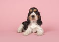 Cute cocker spaniel puppy lying down on a pink background Royalty Free Stock Photo