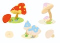 Cute mushroom collection Royalty Free Stock Photo