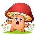 The cute mushroom is giving the shock expression