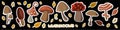 Cute mushrooms collection on black background. Mushroom stickers for children s creativity, labels for products or a logo for a