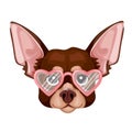 Cute muzzle toy terrier dog wearing heart shaped glasses. Print for clothes, postcard. Vector Royalty Free Stock Photo