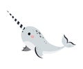 Cute Narwhal as Arctic Animal with Long Tusk Vector Illustration