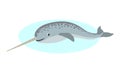 Cute narwhal with long horn icon, unusual whale, polar animal, isolated on white background, vector illustration. Royalty Free Stock Photo