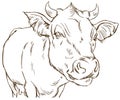 Cute naturalistic cow