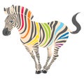 Cute naturalistic zebra with rainbow stripes in funny pose