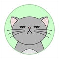 Cute Naughty, Grumpy Cat, Round Icon, Emoji. Gray Cat With A Whiskers Is Unhappy, Vector Image Isolated Royalty Free Stock Photo