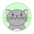 Cute Naughty, Grumpy Cat, Round Icon, Emoji. Perplexity, Discontent. Gray Cat With A Mustache Unhappy, Vector Image Isolated