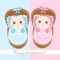 Cute new born babies shower card