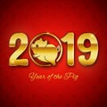 Cute New Year of the pig card, 2019 gold text design, vector ill