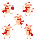 Cute New Year`s set of pigs in various poses. Cute pigs for the year of the pig Royalty Free Stock Photo