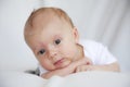Cute newborn baby Royalty Free Stock Photo