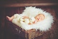 Cute newborn baby in bear hat sleeps in basket with toy teddy be