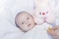 Cute newborn baby boy with easter pink easter bunny Royalty Free Stock Photo