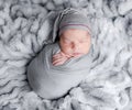 Cute newborn baby boy portrait Royalty Free Stock Photo