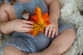 Cute newborn baby boy, sleeping with autumn leaves in a basket a Royalty Free Stock Photo